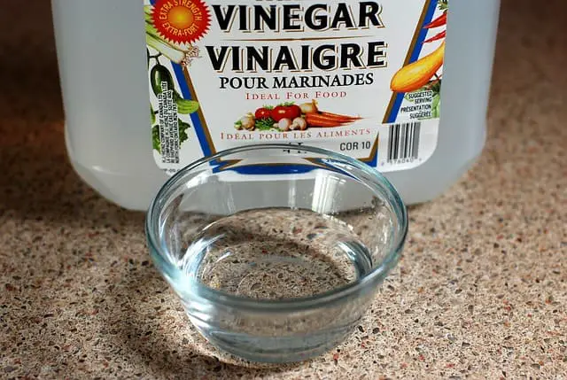 vinegar for toenail fungus